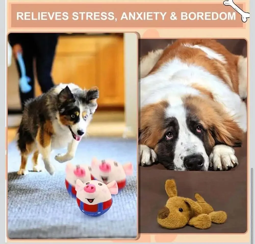 Jumping Squeaky Pig‎ Dog Toy with Recording and Music Modes
